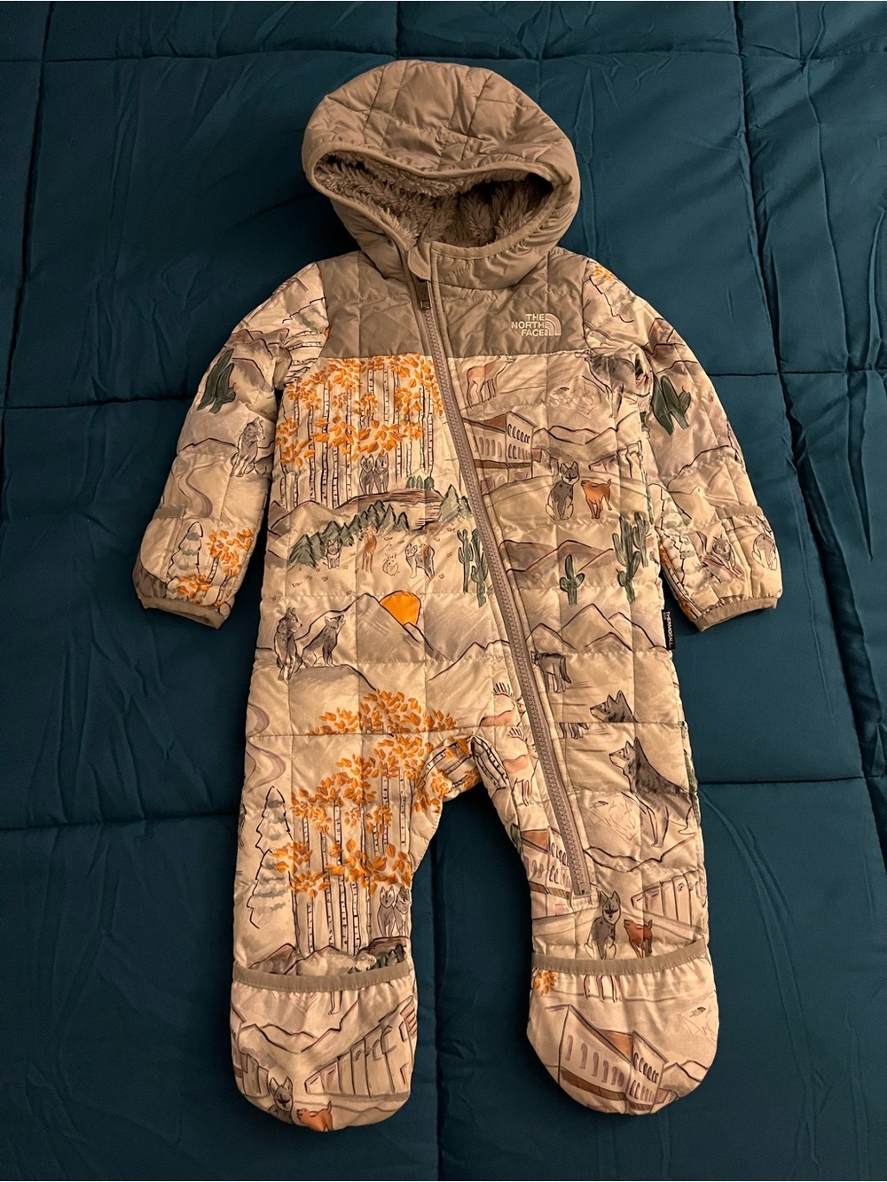 The North Face One-Piece Snowsuit with Orange Nature Accents Size 6-12 Months